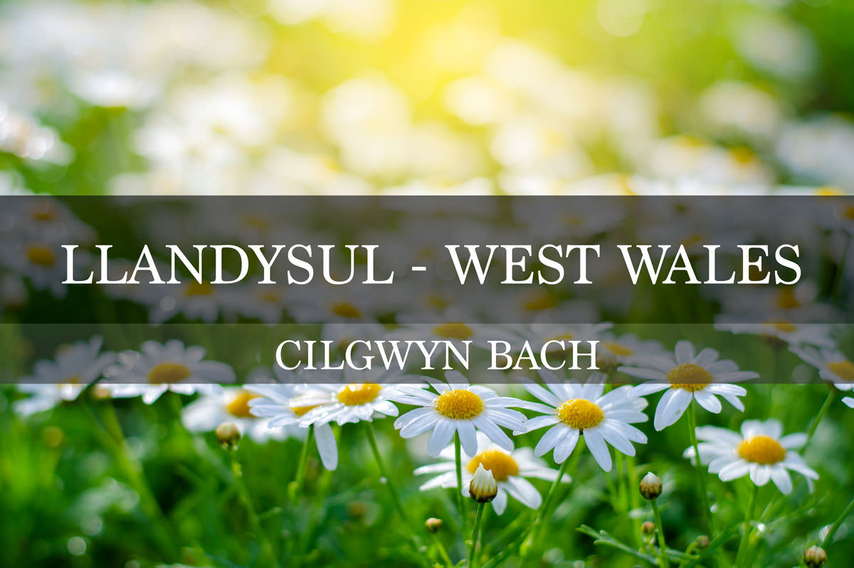 Cilgwyn Bach – Llandysul